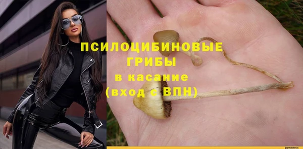 соль курить ск Бородино