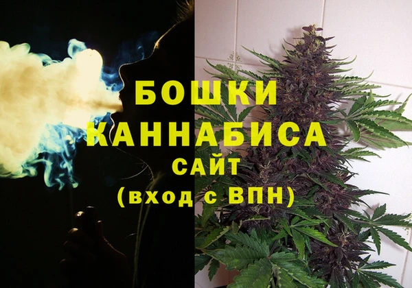 гидра Богородицк