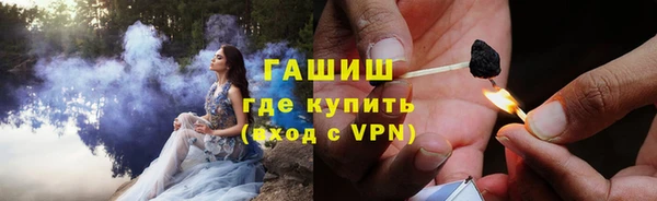 прущие грибы Балабаново