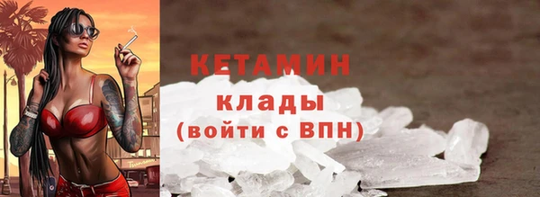 гидра Богородицк