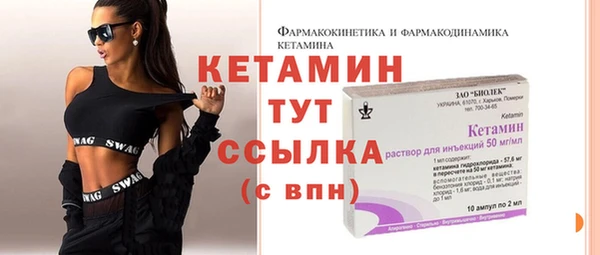 гидра Богородицк
