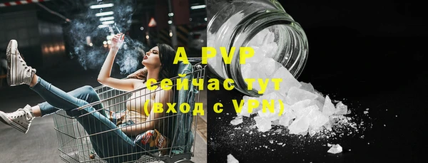 гидра Богородицк