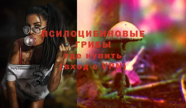 гидра Богородицк