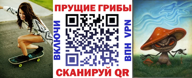 Галлюциногенные грибы Psilocybe  сколько стоит  Камызяк 